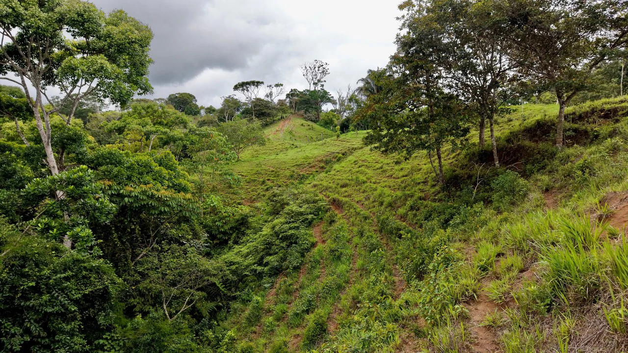 Countryside Home Construction Site For Sale in Centro de Pérez Zeledón - Gallery image 15