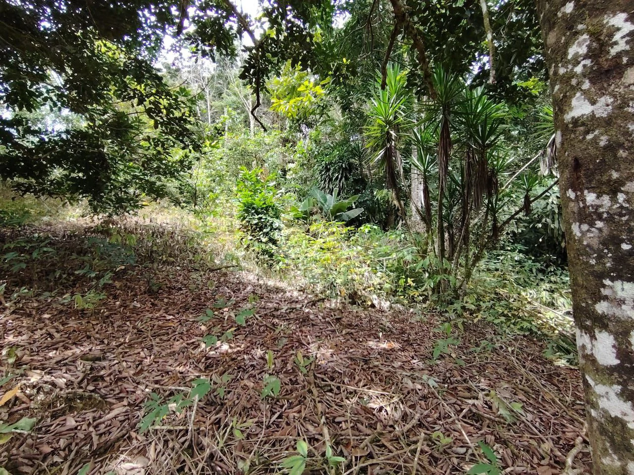Home Construction Site For Sale in General Viejo - Gallery image 16