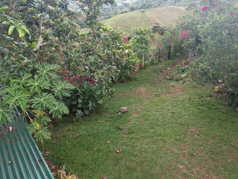 Livestock Farm | Titled property located in Santa Eduviges - Gallery image 4