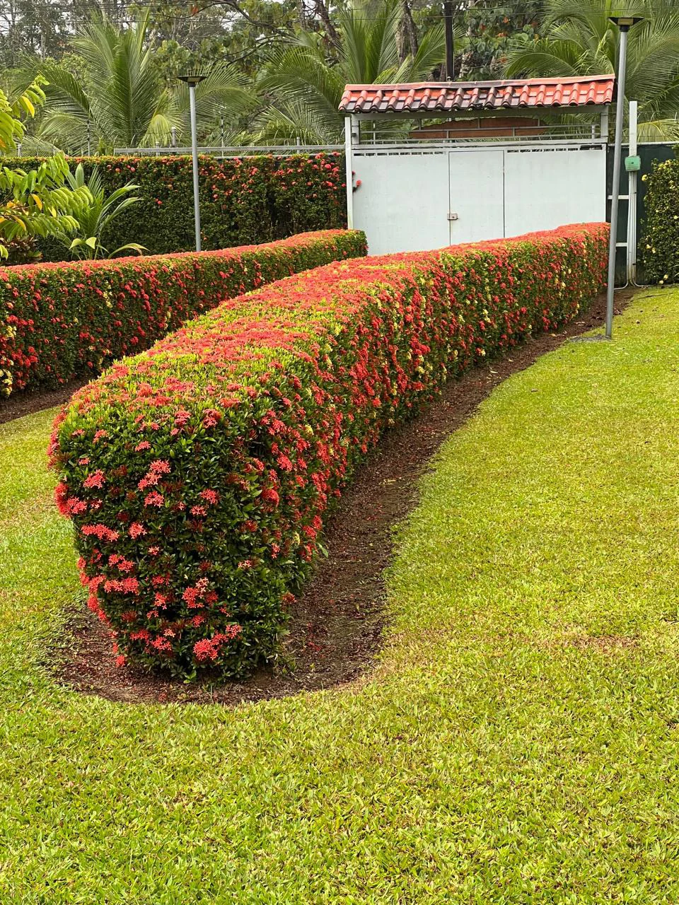 Beautiful 2 bedroom 2 bathroom house - Fully Furnished Turn Key in La Fortuna - Gallery image 4