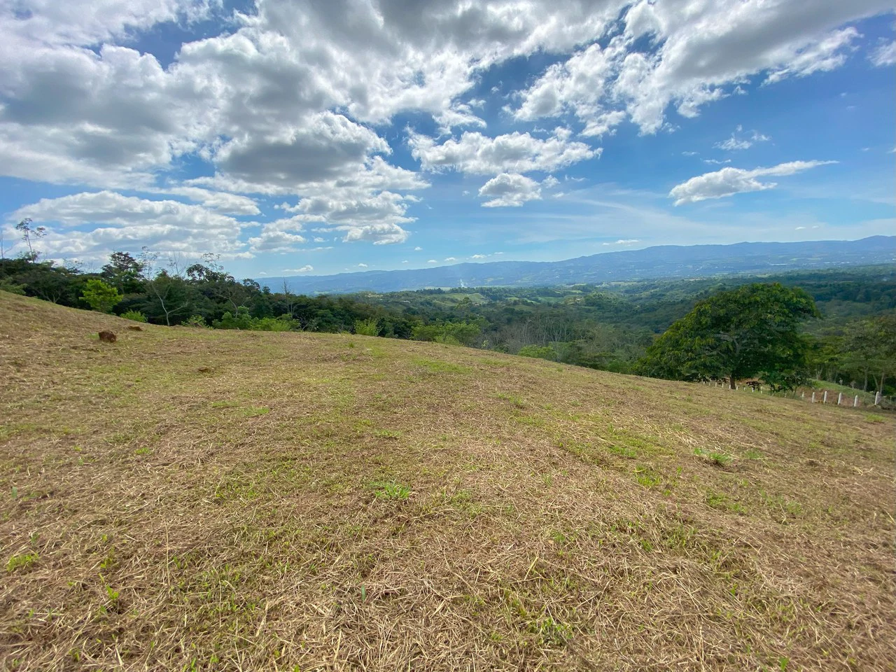 1.35 ACRES – Gorgeous View To The Valley, Mountain And City With A Large Building Site, Two Legal Water Sourses Ready To Build!!!: Mountain and Countryside Home Construction Site For Sale in San Isidr - Gallery image 3