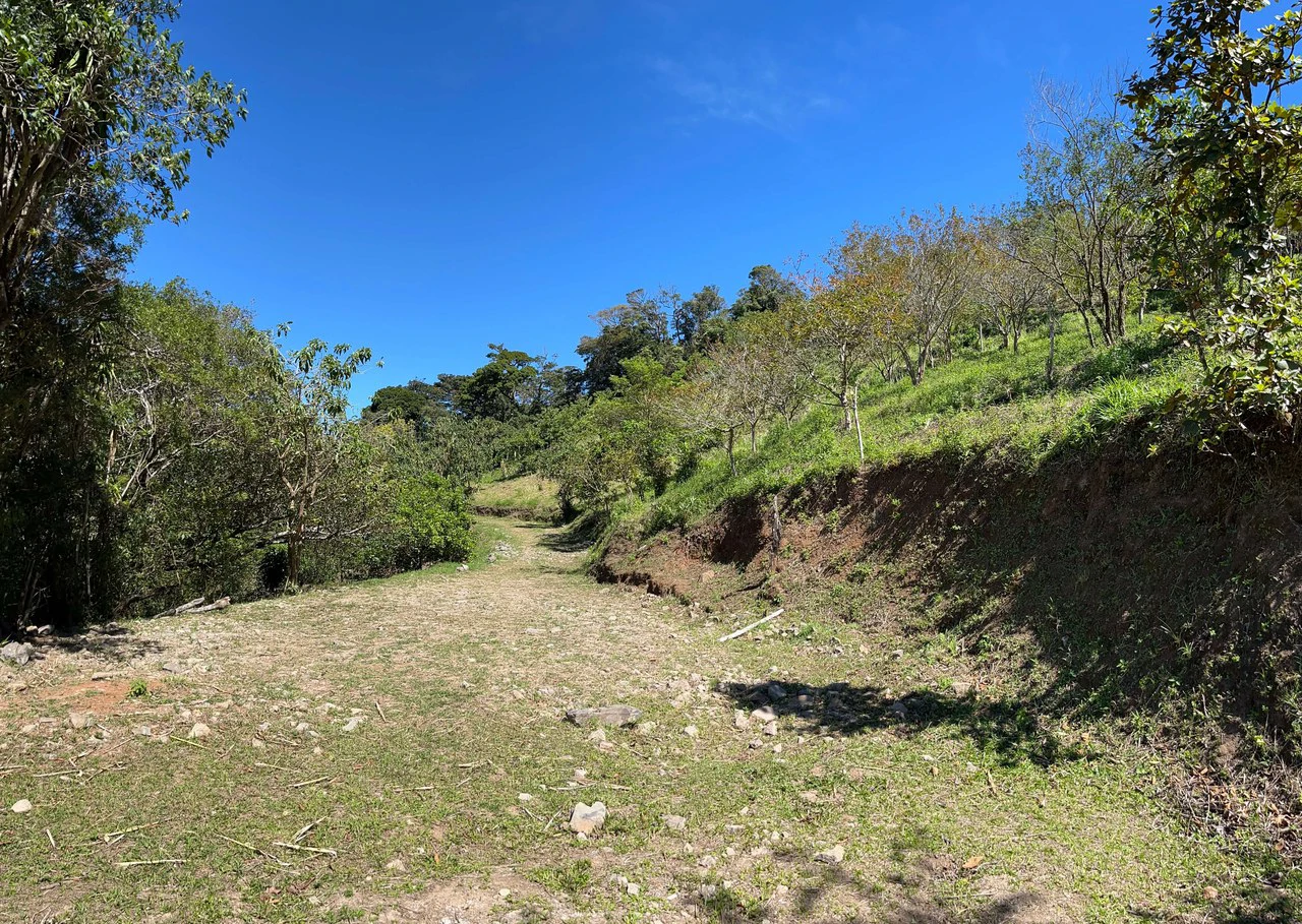A Lifestyle Canvas with Gulf Views: 5 Hectares Near Monteverde CE0224: Build Your Dream Lifestyle: 5 Hectares with a million dollar Ocean Views & Sunset Magic Near Monteverde - Gallery image 6