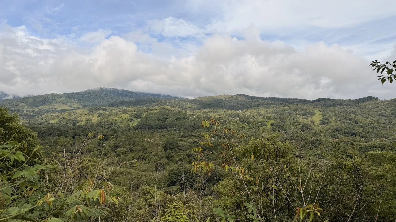 Mountain Home Construction Site For Sale in San Isidro del General - photo 19