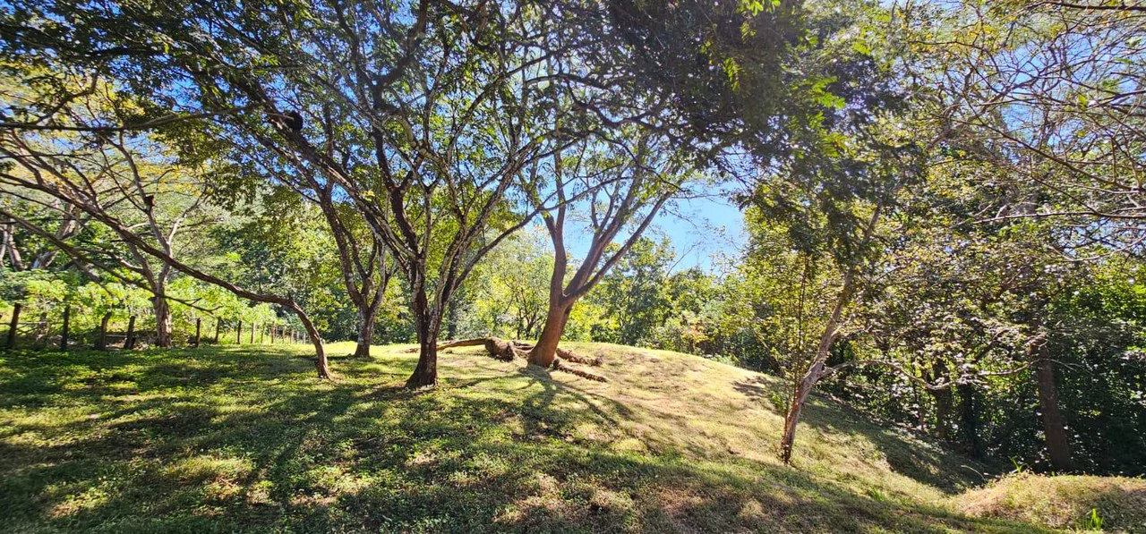 Nature's Gateway: Smart Choice Mixed-Use Property Near Carrillo Beach: Countryside Home Construction Site For Sale in Playa Carrillo - Gallery image 3