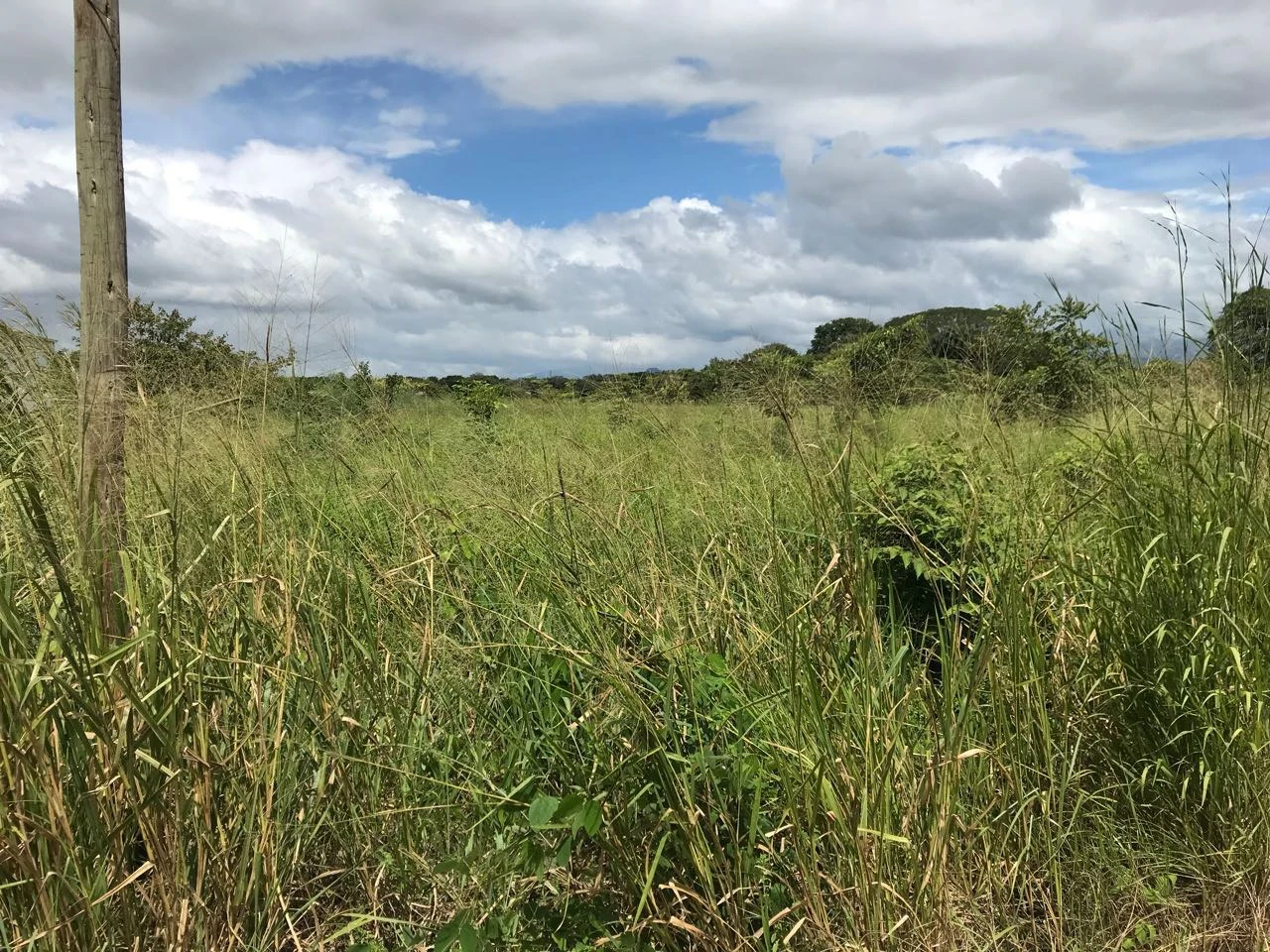 Property near Liberia and Discovery Park - Gallery image 8