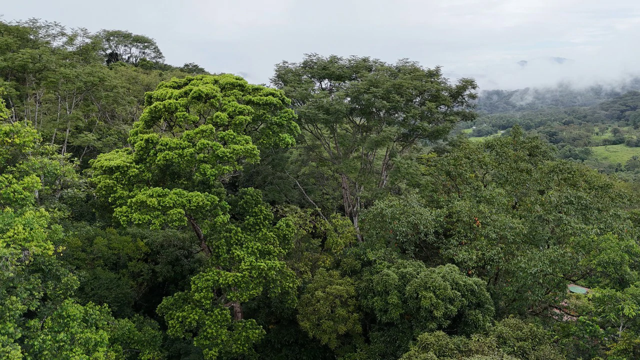 Tropical Paradise with Breathtaking Diamate Waterfall Views - Gallery image 16