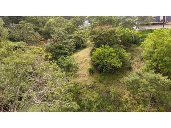 Lot in Exclusive Condominium in Santa Ana - Gallery image 4