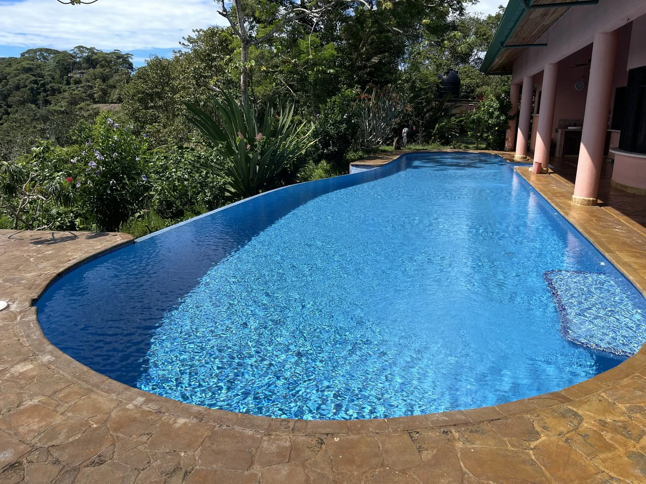 5.2 ACRES – 2 Bedroom Home With 60 Ft Infinity Lap Pool, 1 Bedroom Guest House, Fabulous Ocean View, Mature Fruit Trees!!! - Gallery image 8