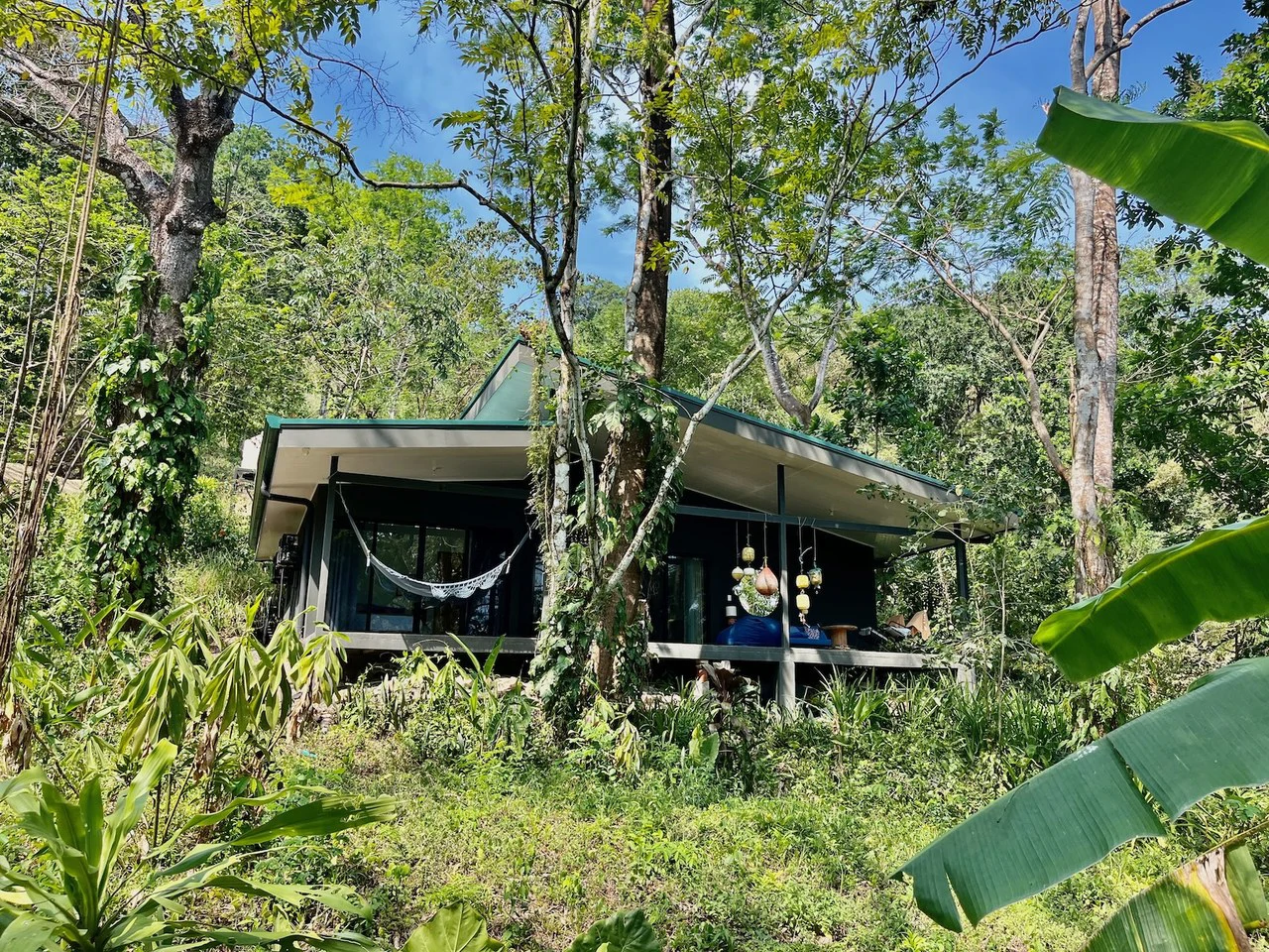 3 Home Estate minutes from the beach in Santa Teresa: 8000m2  Income Producing Property - Gallery image 2