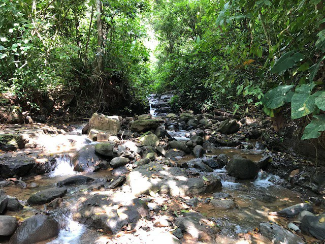 6.5 ACRES – Space To Grow, Build & Thrive, Close To The Beach & Commercial Potential Road Frontage!!!!!: Mountain and Countryside Development Parcel For Sale in Platanillo de Dominical - Gallery image 13