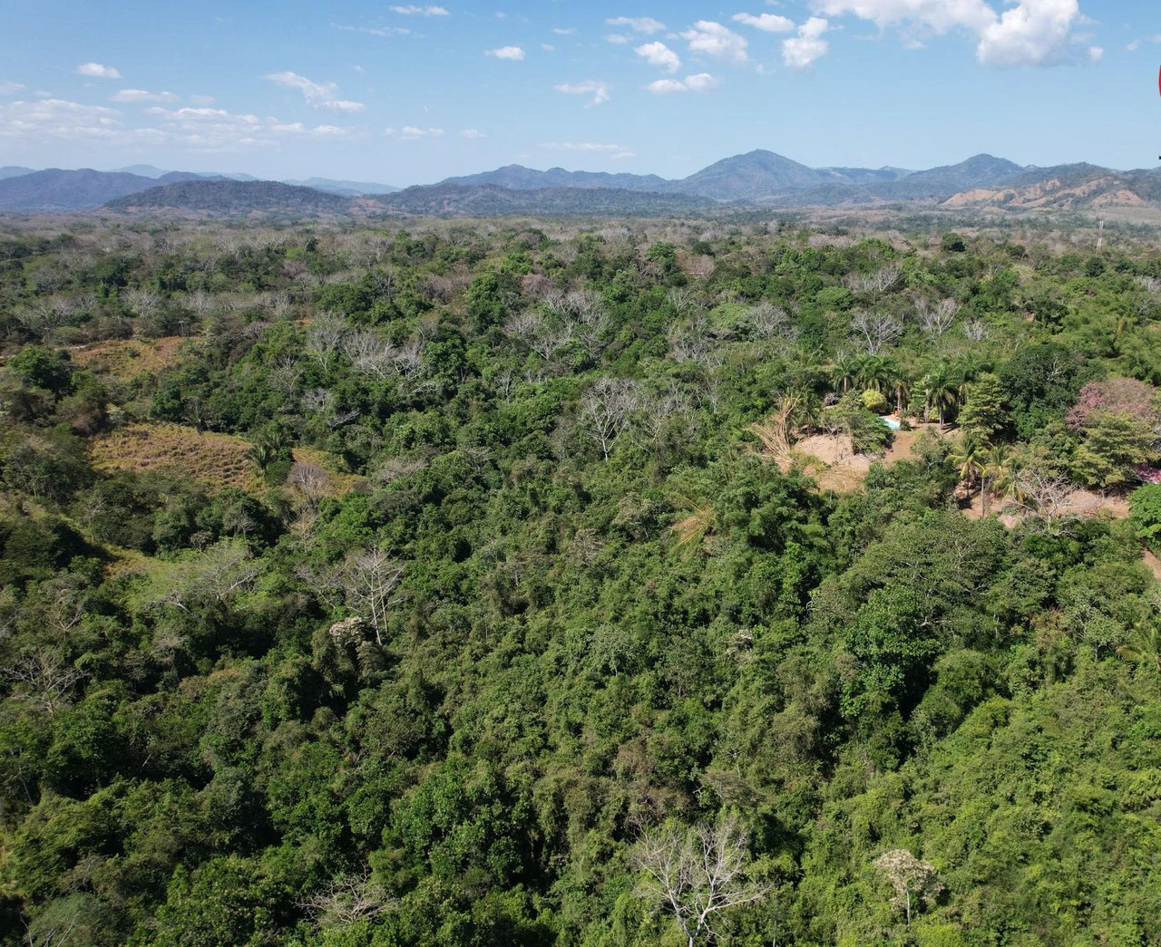 Finca Cobano. Santa Teresa: Near the Coast Agricultural Land For Sale in Santa Teresa - Gallery image 2