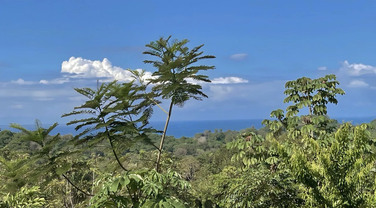 Exclusive Hermosa 1.2 Acre Lot with Panoramic Mountains and Ocean View. - Gallery image 2