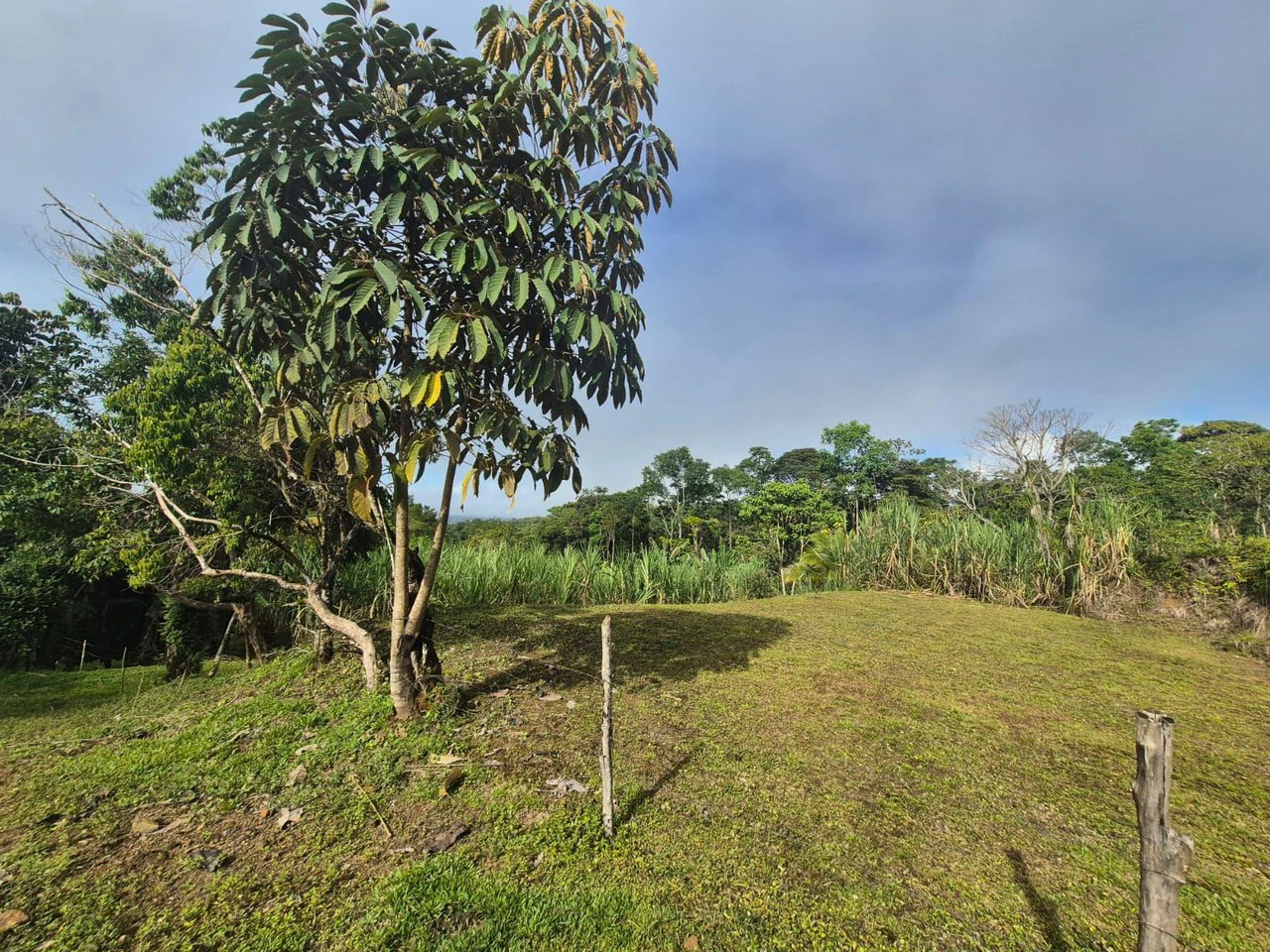Propiedad en San Blas: Mountain Agricultural Land For Sale in La Linda General Viejo - Gallery image 16
