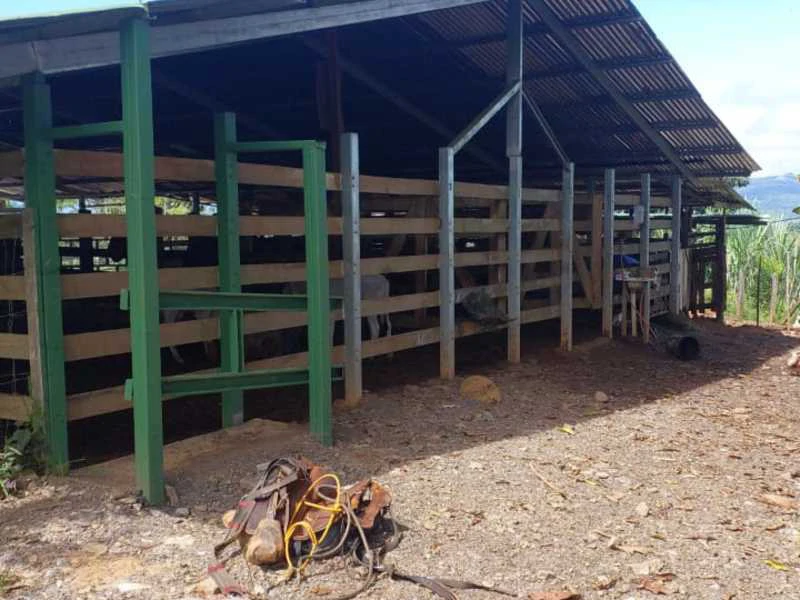Livestock Farm | Titled property located in Santa Eduviges - Gallery image 25