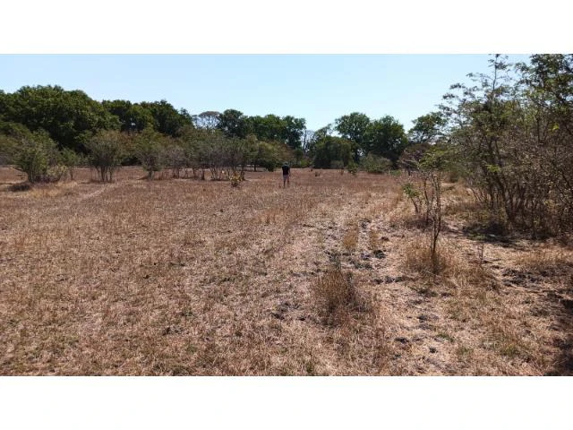 3 Flat topography properties for sale near Playas del Coco, Great building potential in the province of Guanacaste - Gallery image 14