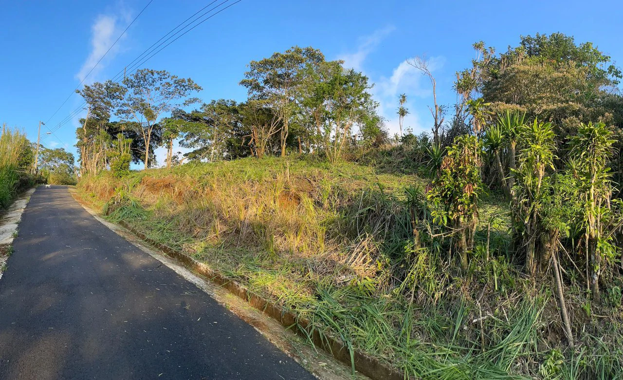 Eco-Lot #15: Ready-to-Build Sustainable Haven with Gulf & Mountain Views - photo 2