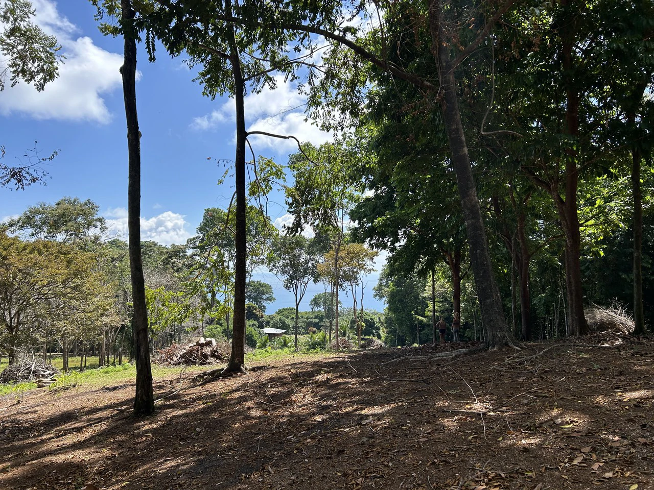 Cabo Matapalo:  3.8 Acre Ocean View Lot In Peninsula De Osa, Golfo Dulce - Gallery image 5