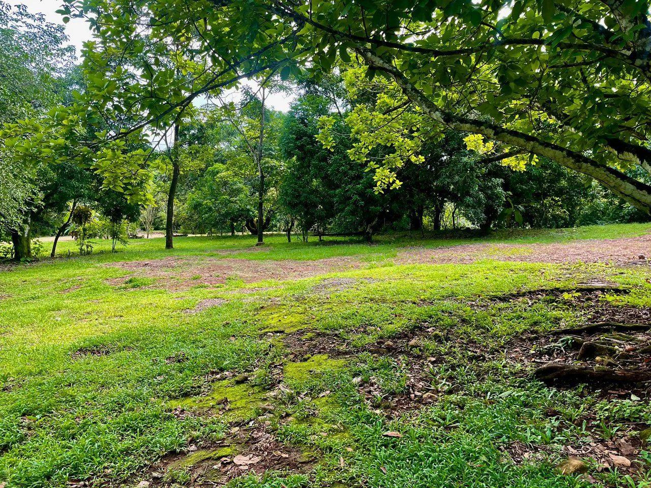Property for Sale for Tourism Development with River in Orotina Alajuela Costa Rica - Gallery image 18