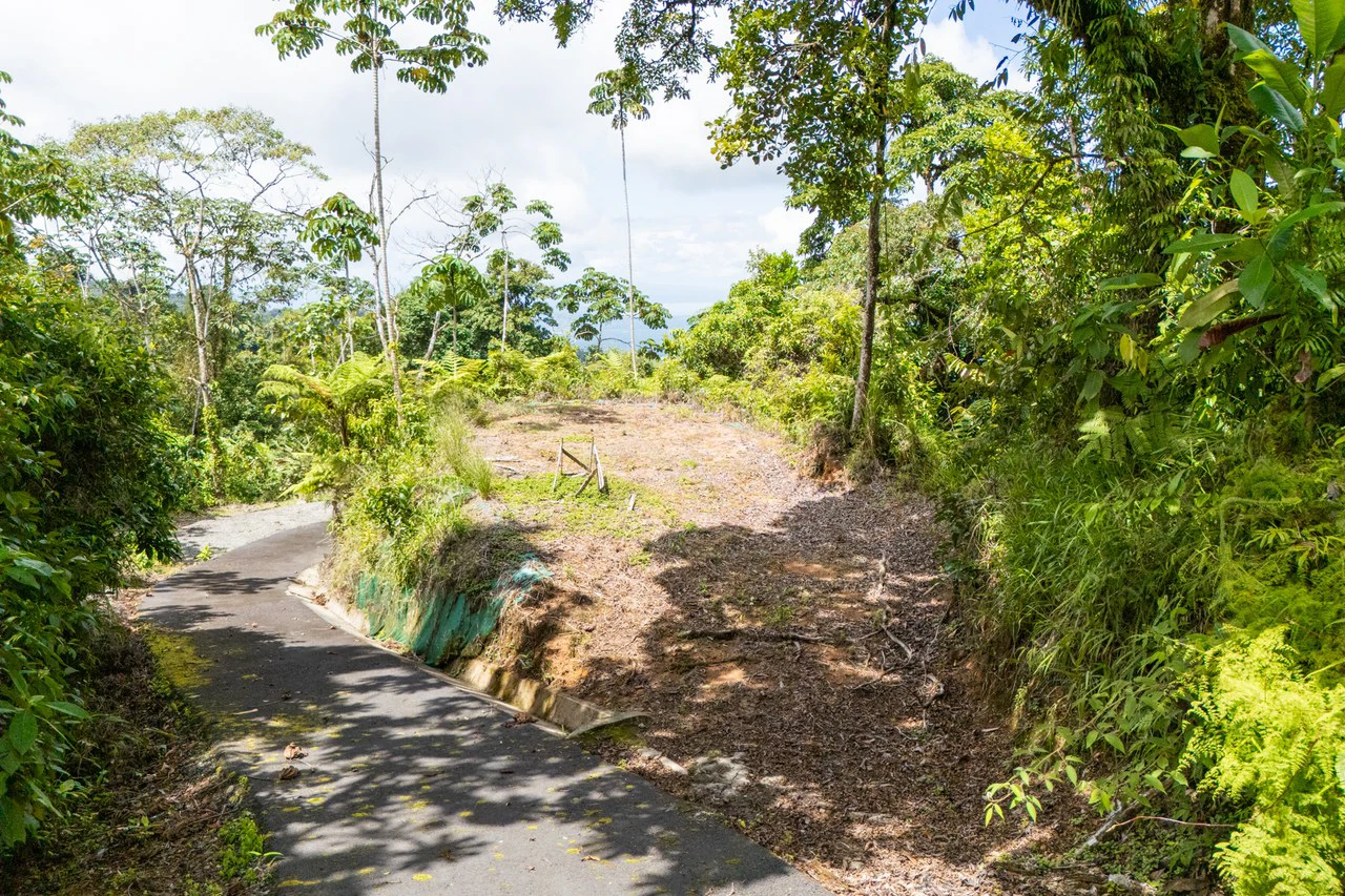 Near the Coast Home Construction Site For Sale in Ciudad Cortés - Gallery image 5