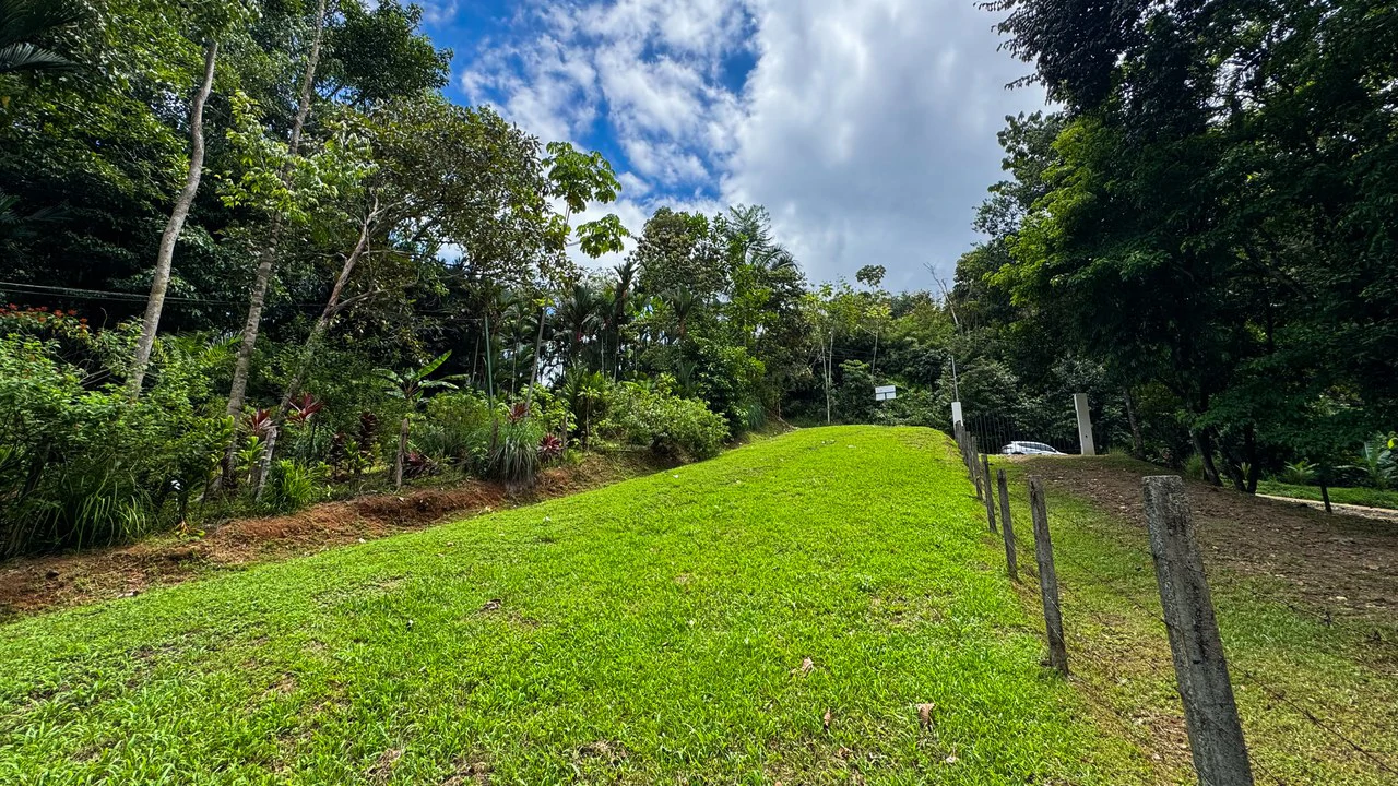 Beautiful Lot Ready to Built in Playa Hermosa, Osa with a Creek - Gallery image 9