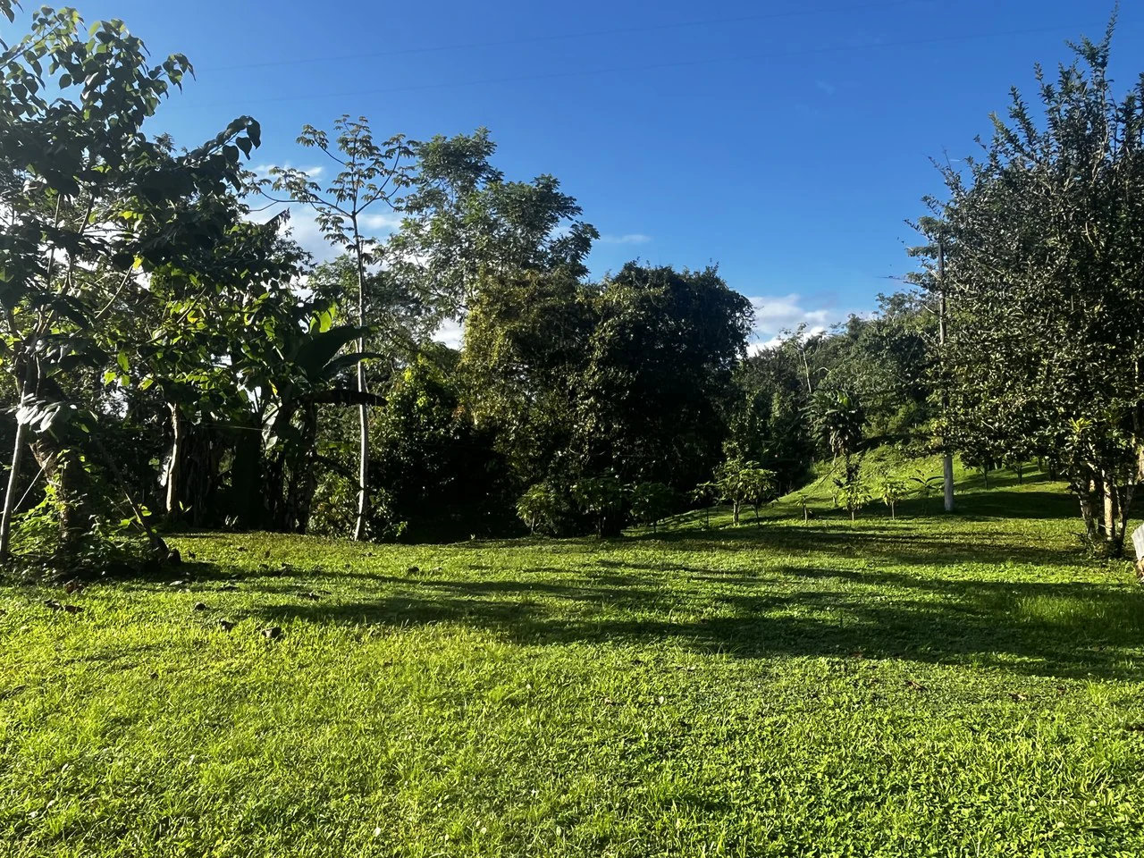 SPECTACULAR ECOLOGICAL MOUNTAIN FARM IN BIJAGUAL DE TURRUBARES - Gallery image 35