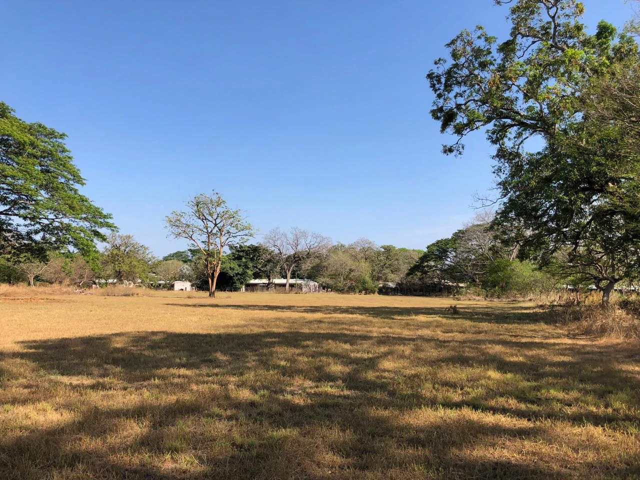 Large property with warehouses in Filadelfia, Carrillo - Gallery image 9