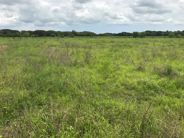 Property close to Liberia and Discovery Park - Gallery image 9