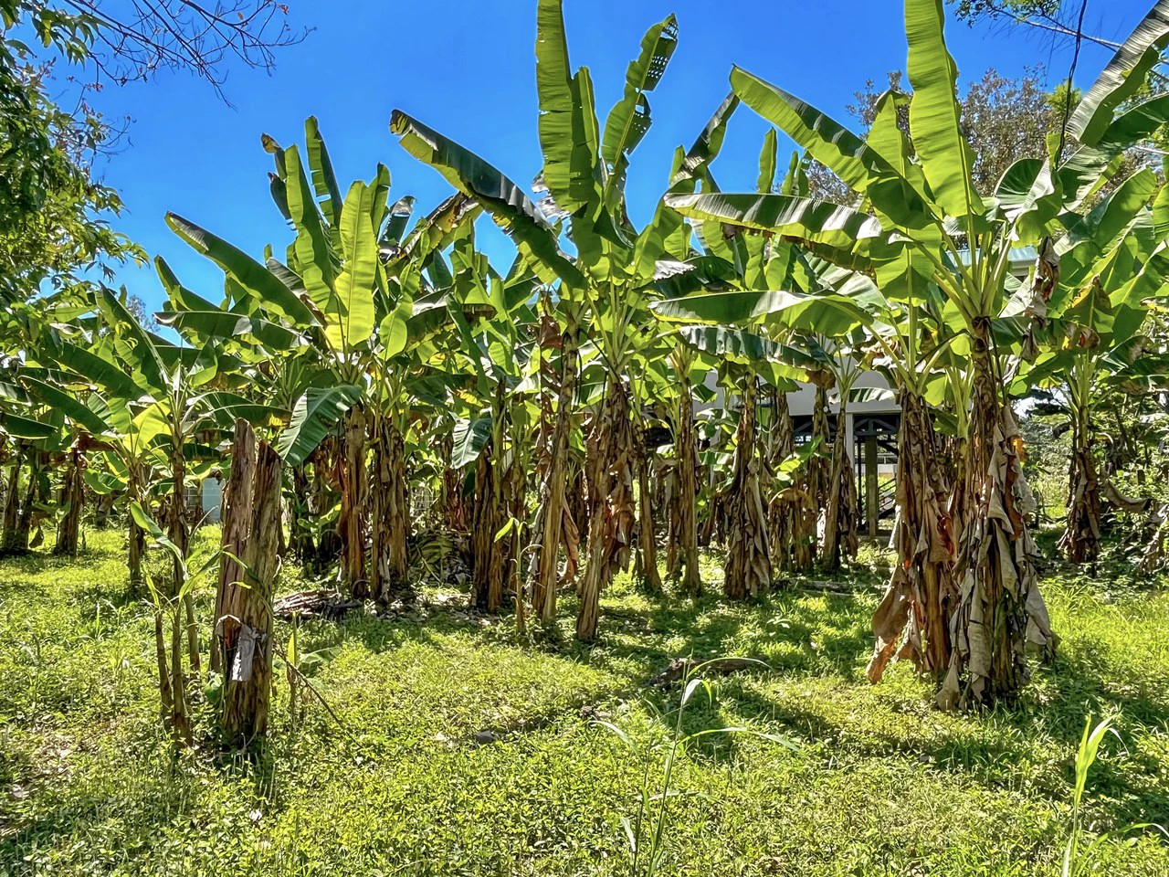 .075 ACRES – 2 Bedroom New Construction Home, Walk to the River, 5min to Playa Matapalo, 15min to Dominical!!!! - Gallery image 29