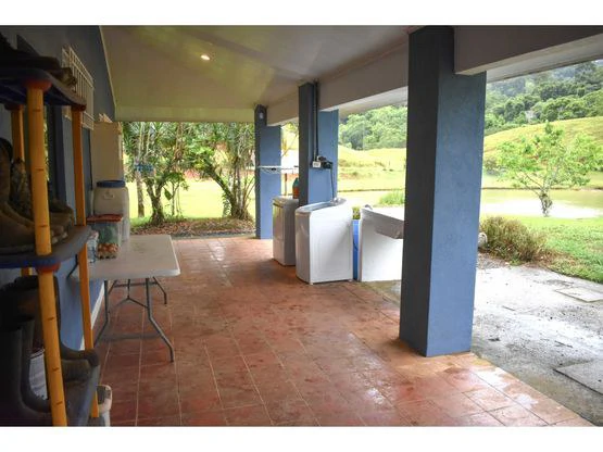 Serene Jungle Farm in Limon Province - Gallery image 71