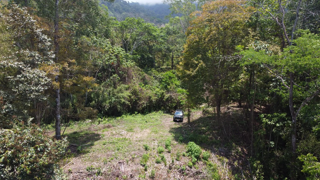 Ocean View Estate Lot with Private Waterfall – Uvita - Gallery image 7