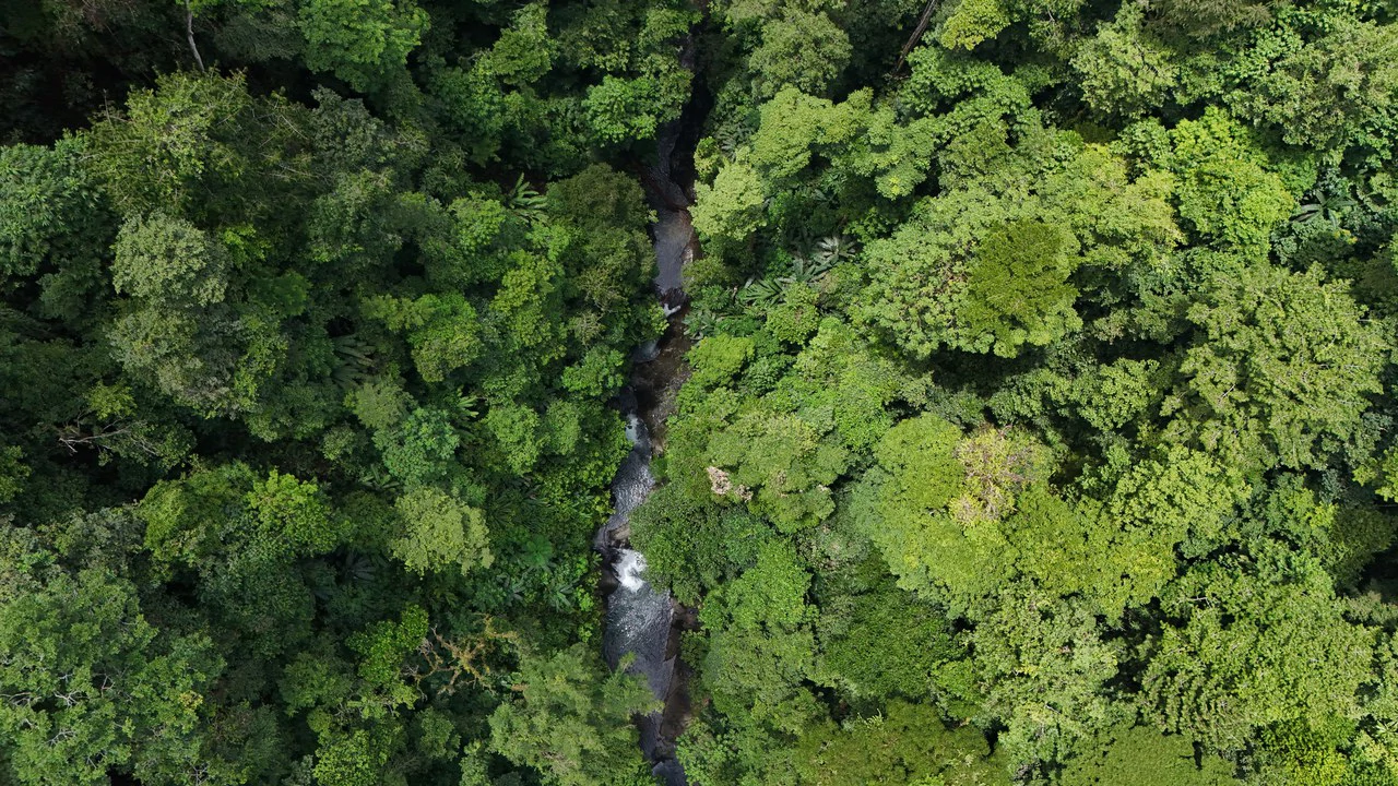Uvita Development Farm - 40.47 Acres Estate - photo 2