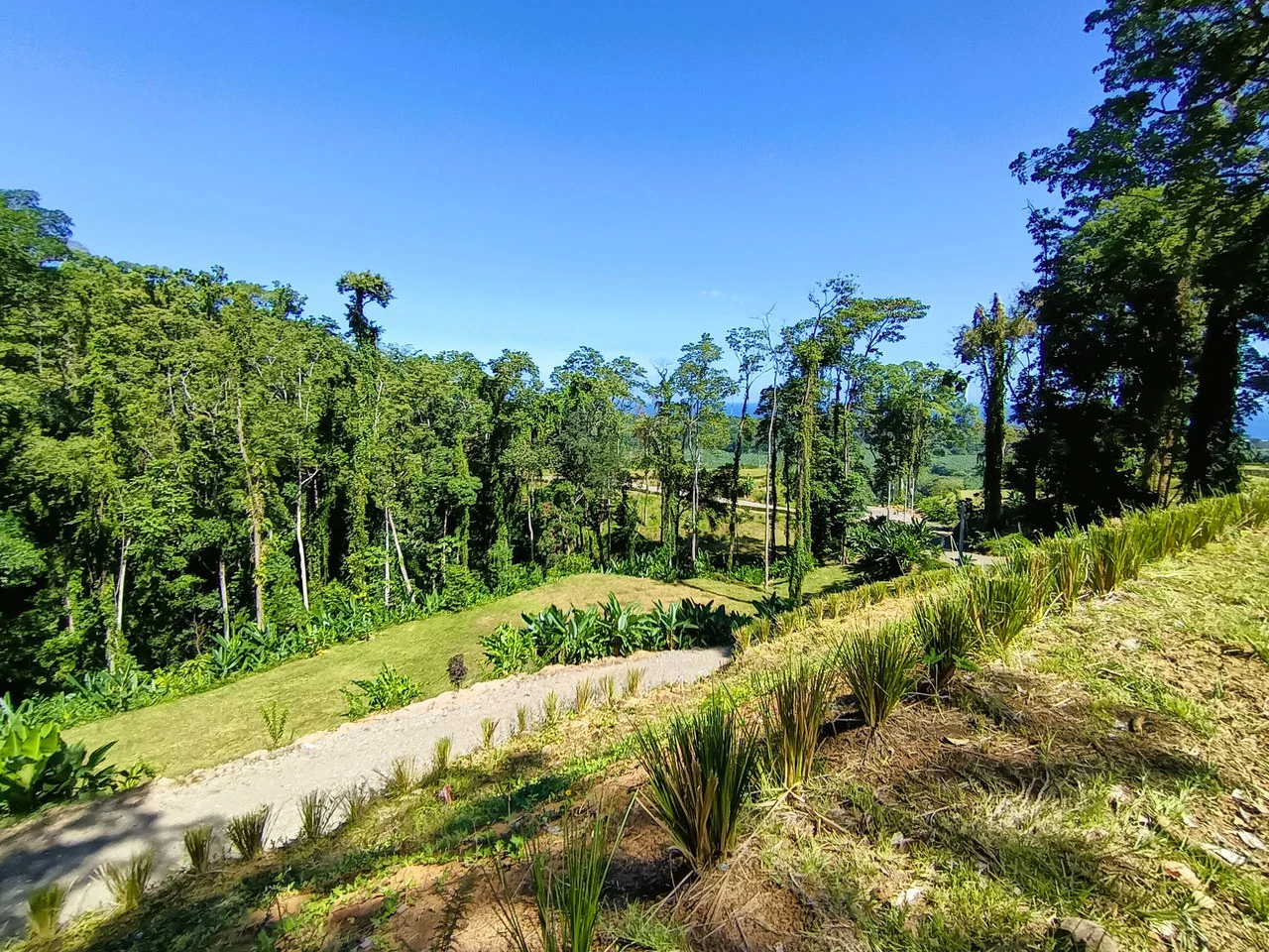 ID 4193: Ocean View Residential Lot for Sale near Puerto Viejo, Caribbean Costa Rica - Gallery image 8