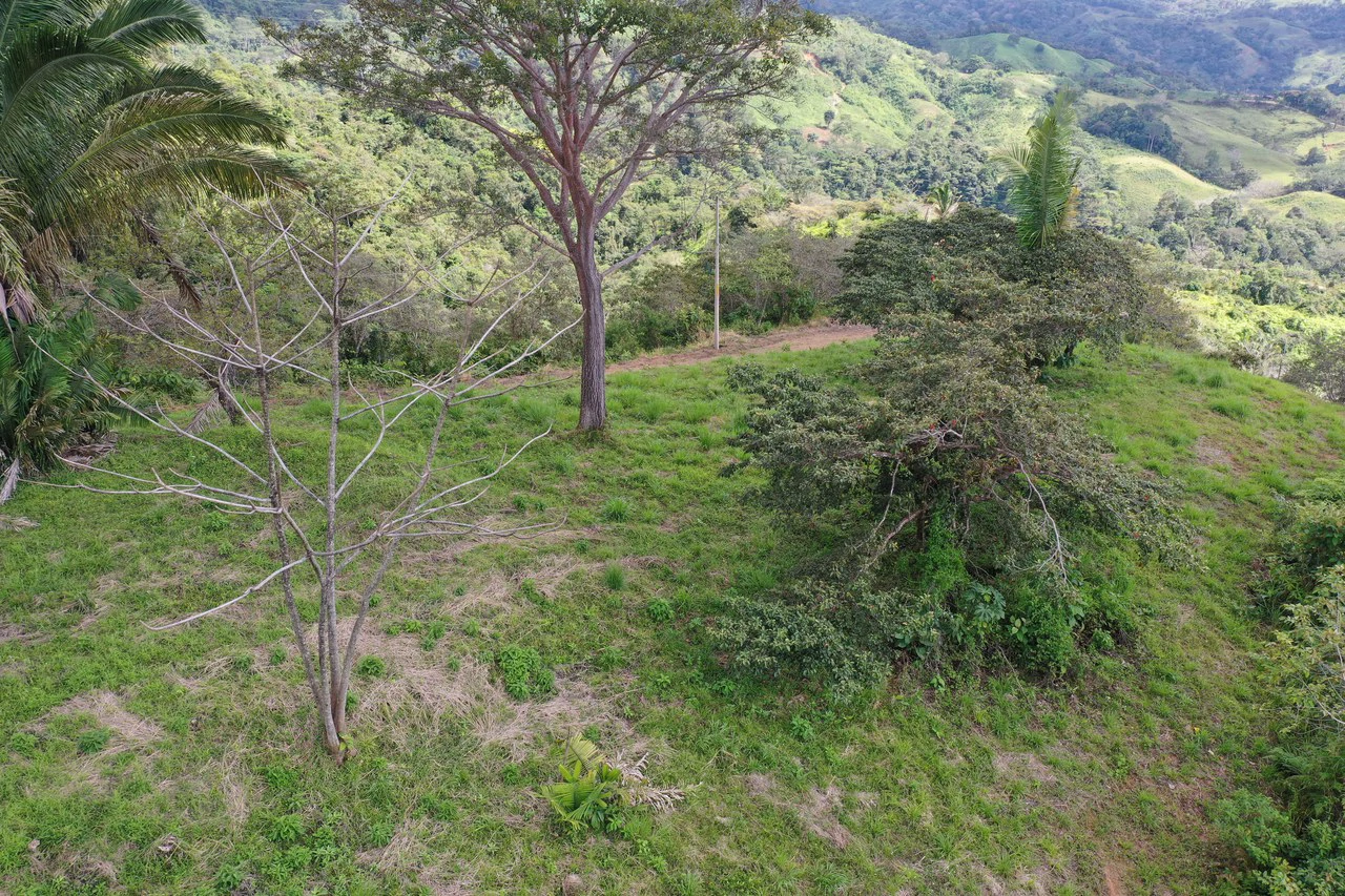 Sunset Ocean View Land with Cano Island Views: Home Construction Site For Sale in Ojochal - Gallery image 7