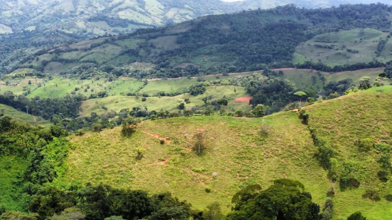 Se vende 39ha en Barú, Perez Zeledón: Mountain Home Construction Site For Sale in Barú - Gallery image 17