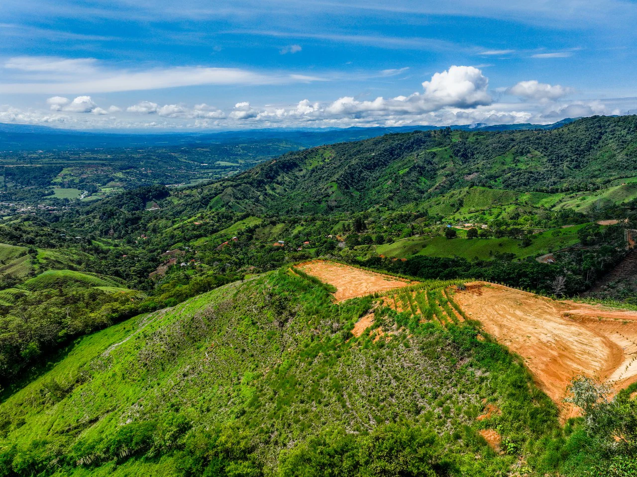 12 Acre Fruit Farm Above San Isidro City Lights Chirripó Views and Deep Well Water - Gallery image 13