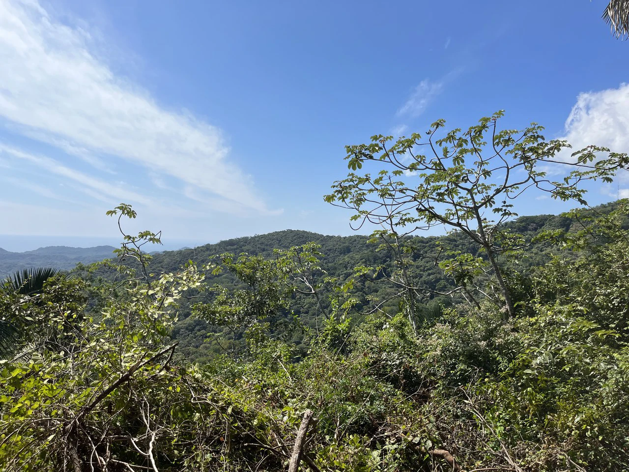 Lot 74 Montana: Beautiful Ocean View - Gallery image 4