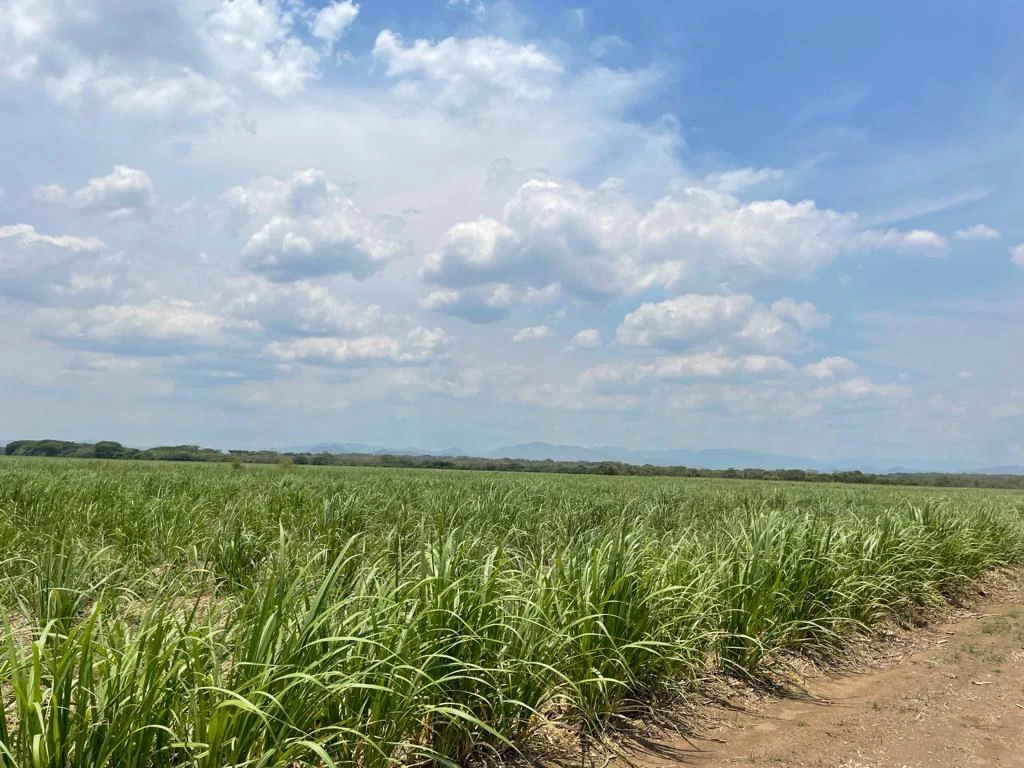 Farm for Sale to Develop Guanacaste Costa Rica - Gallery image 8