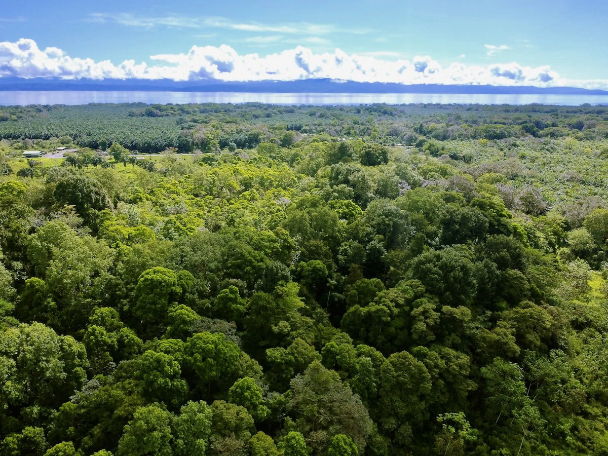 Large Building Lots in Osa Peninsula - Gallery image 4