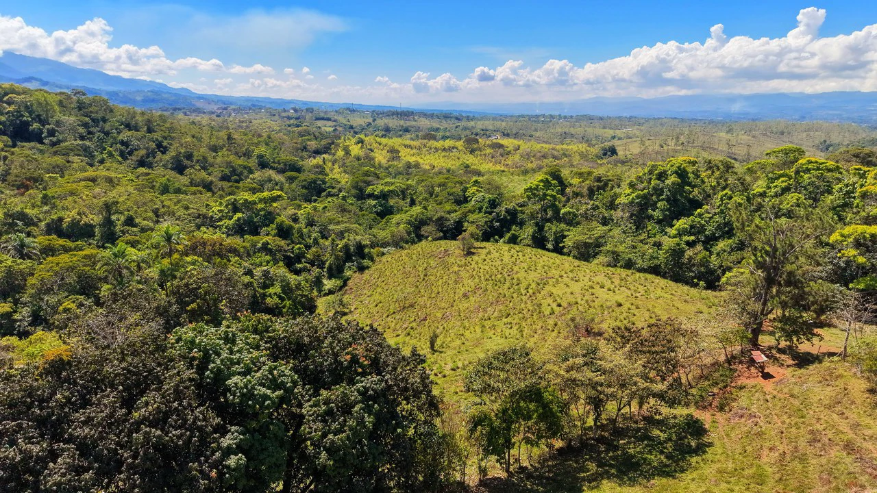 Agricultural Land For Sale in MORAZAN - Gallery image 4