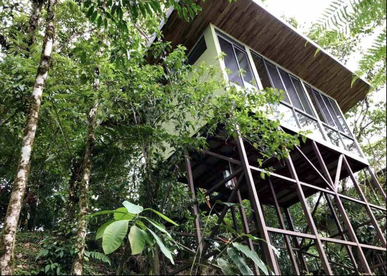 3 bedroom house with swimming pool & 2 Jungle Studios. - Gallery image 24