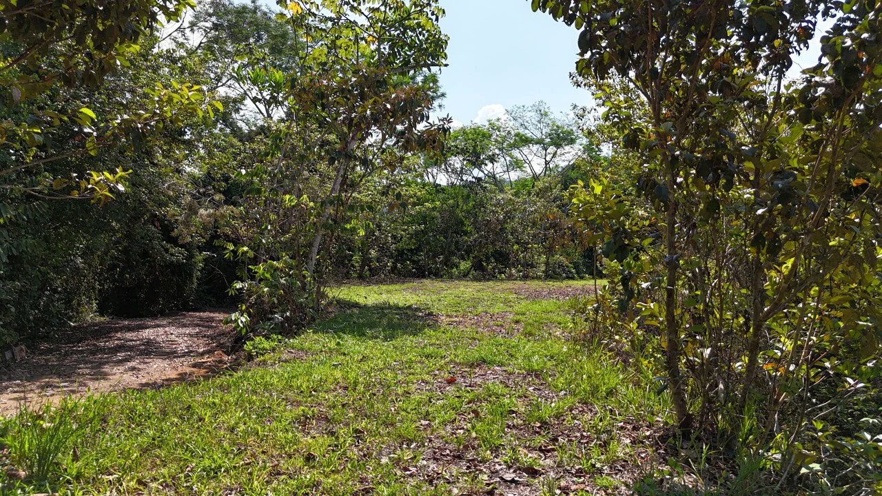 Exceptional Development Opportunity 71 acre Riverfront & Ocean View in Hatillo - Gallery image 8