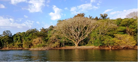10.350 m2 Lakefront Property on Lake Arenal: Lakefront - 200 m2 bungalow with 10,350 m2 private land (building land) on Lake Arenal