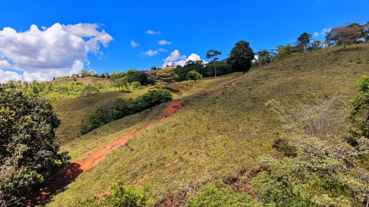 Agricultural Land For Sale in MORAZAN - Gallery image 16