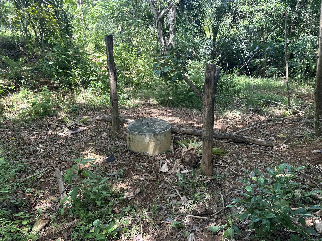 8.78 Acres Mountain View Estate with Water, Infrastructure & Endless Development Potential | Platanillo de Barú, Costa Rica - photo 11