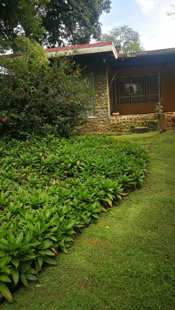 Home Construction Site For Sale in Escazú - Gallery image 18