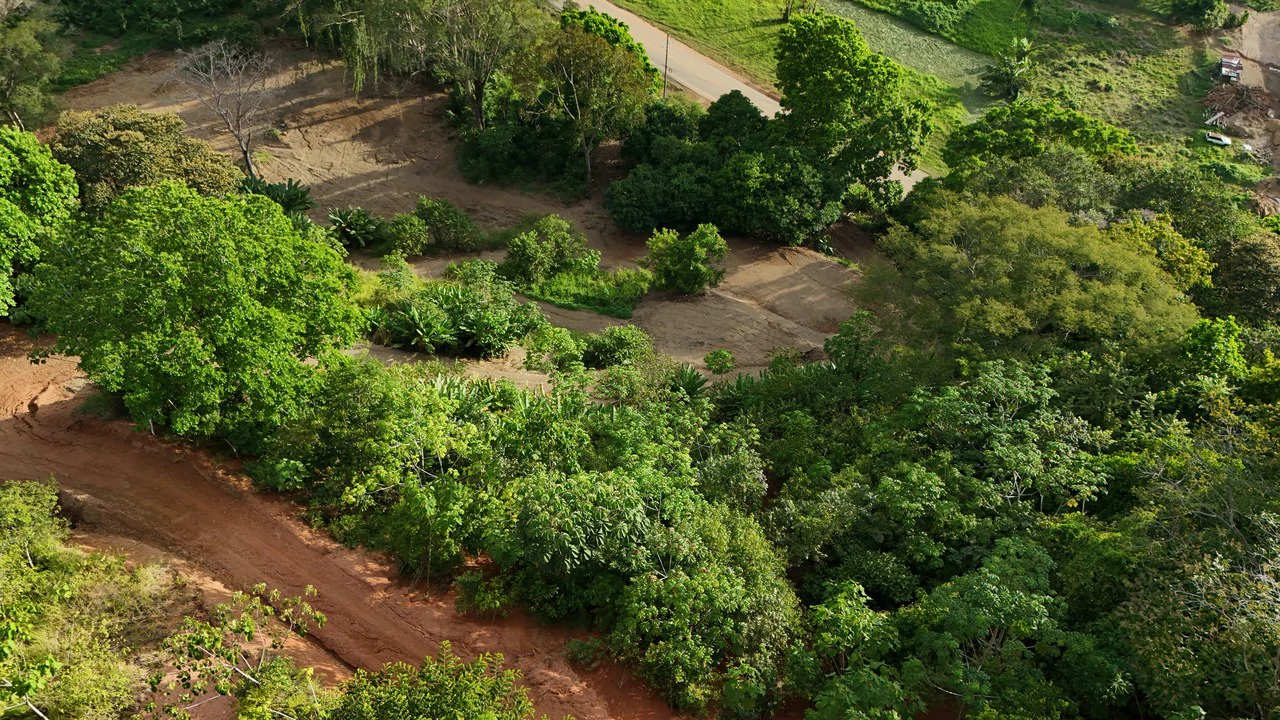 Stunning Ocean and Terraba River view property in Ojochal - Gallery image 22