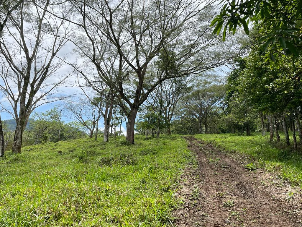 Farm for sale Puriscal Close to Universidad para la Paz Costa Rica - Gallery image 2