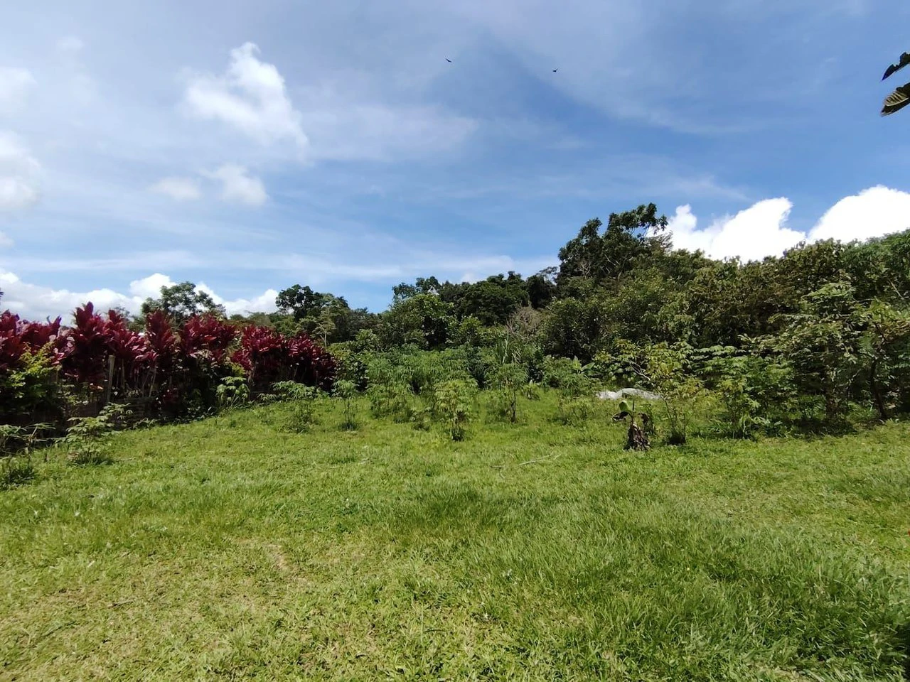 Lote en San Juan Bosco, Perez Zeledon, Costa Rica: Countryside Home Construction Site For Sale in Daniel Flores - Gallery image 10