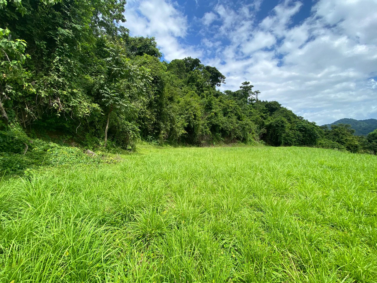 Ocean View Lot for Sale Guanacaste Costa Rica San Miguel Beach Tittled - Gallery image 16