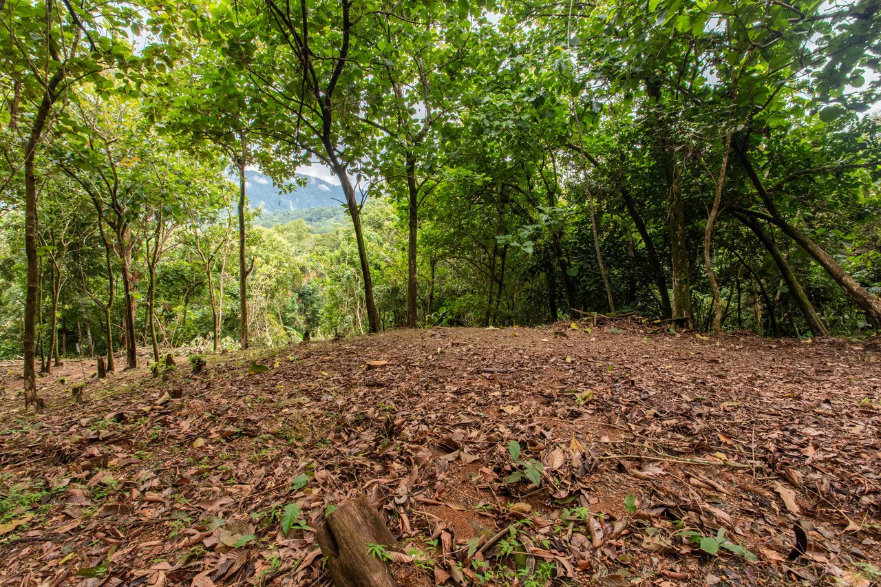 2.4 Acre Property In The Mountains Above Dominical with Waterfall Views - Gallery image 6